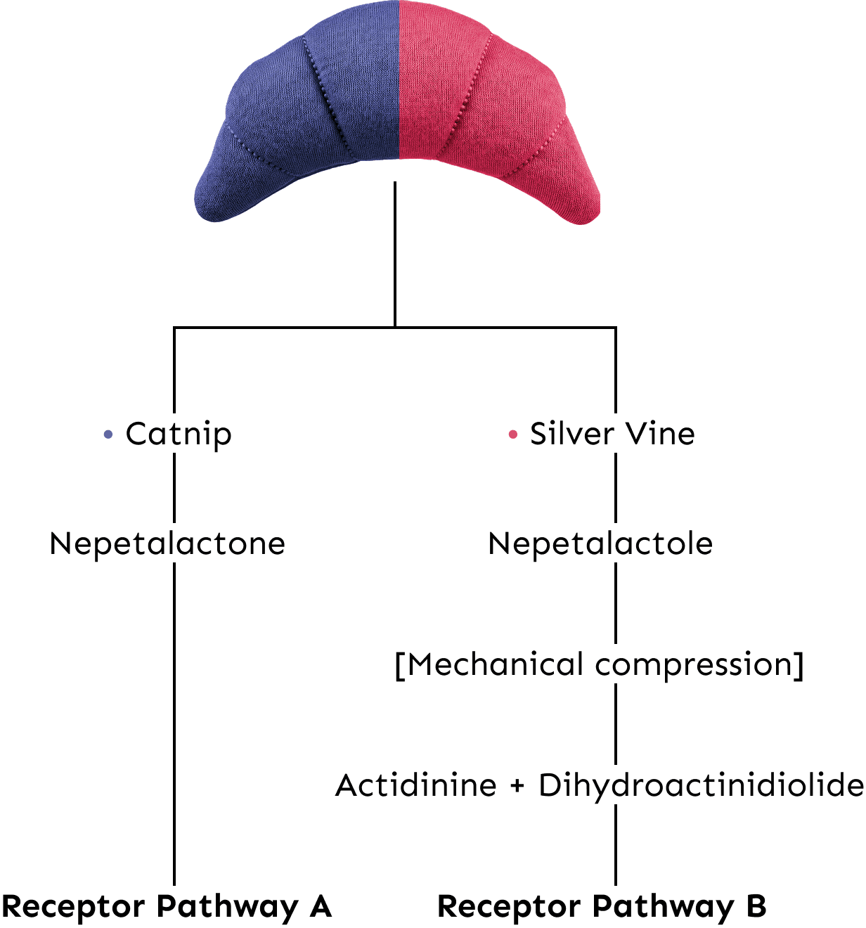 Dual-Receptor Strategy