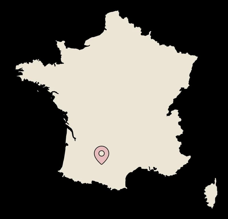 We make cat toys in France